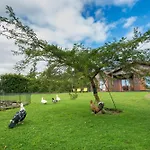 Quinta Dos Curubas בית חווה