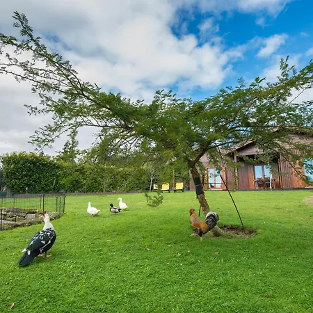 Quinta Dos Curubas Farm stay
