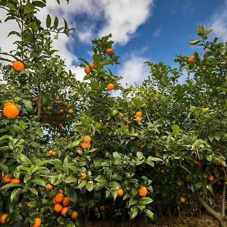 Quinta Dos Curubas Farm stay Vila Franca do Campo