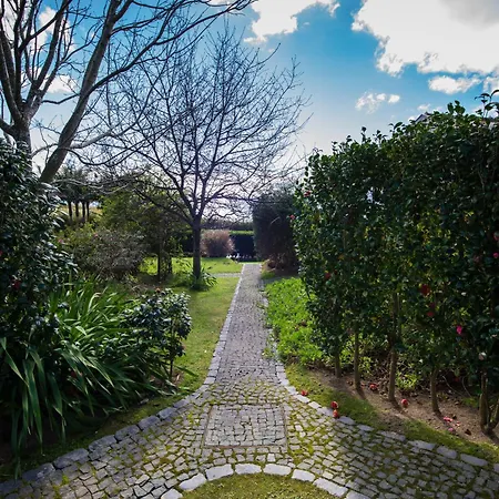 Alojamento de Turismo Rural Quinta Dos Curubas *