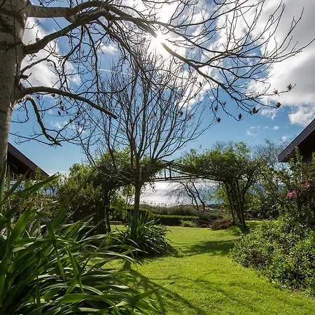 Vakantieboerderij Quinta Dos Curubas *