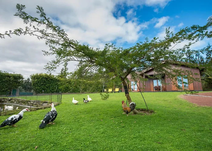 Quinta Dos Curubas Farm stay