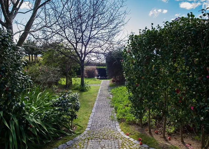 Farm stay Quinta Dos Curubas *