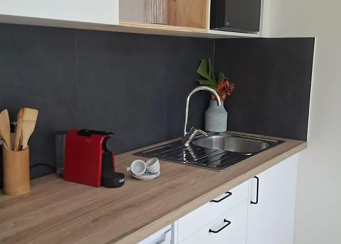 Quinta Dos Curubas * ヴィラ・フランカ・ド・カンポ